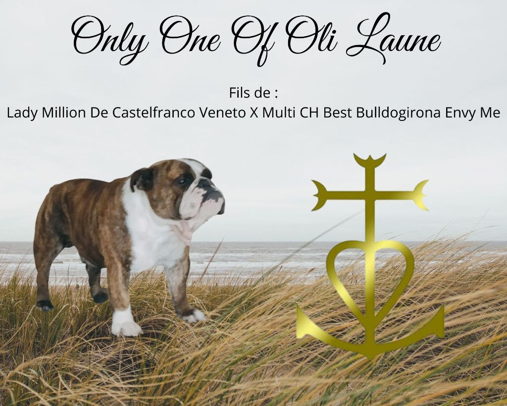 Only one Of Oli Laune